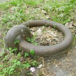 Z Marijo od Učlovečenja: Izbrati dobro