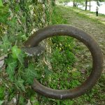 Z Marijo od Učlovečenja: RAZDAJANJE
