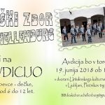 Avdicija za Deški zbor Schellenburg